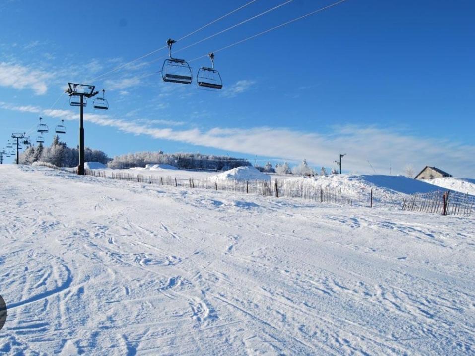 Gite Spa "La Foret Argentee" Proche Gerardmer Laveline-du-Houx Екстериор снимка