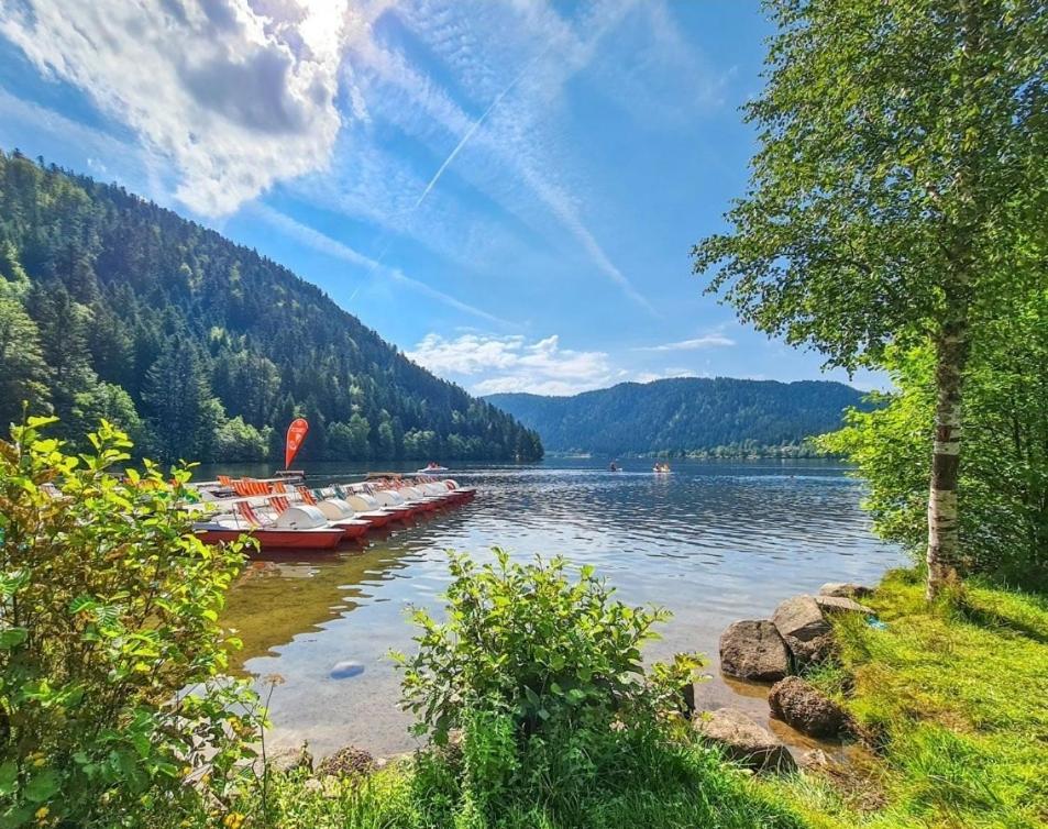 Gite Spa "La Foret Argentee" Proche Gerardmer Laveline-du-Houx Екстериор снимка