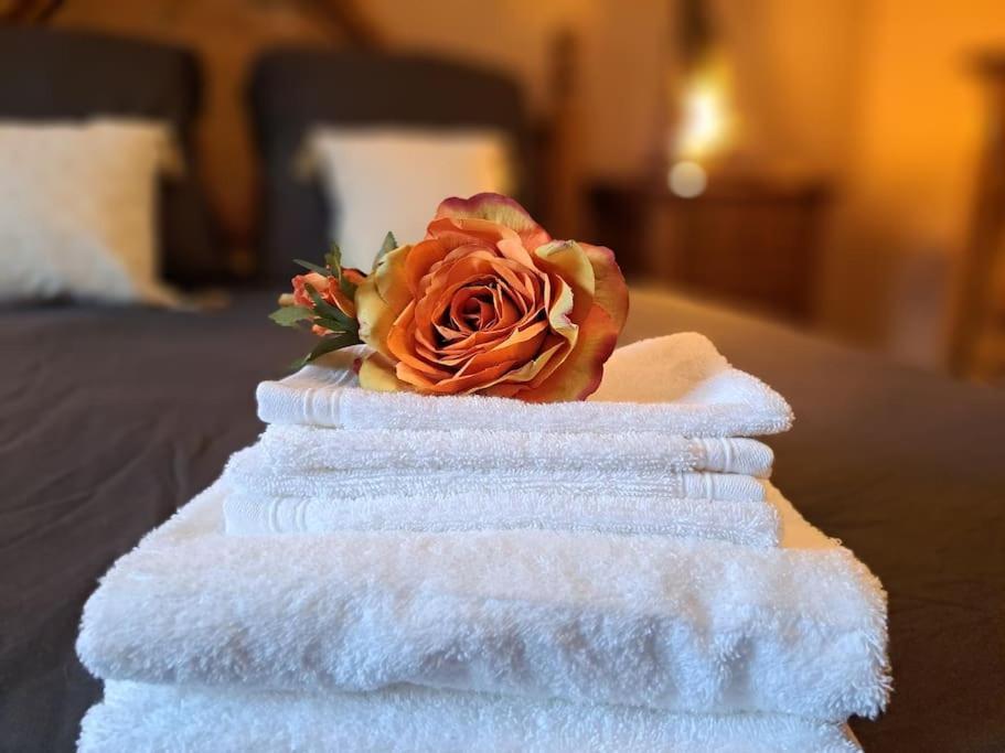 Gite Spa "La Foret Argentee" Proche Gerardmer Laveline-du-Houx Екстериор снимка
