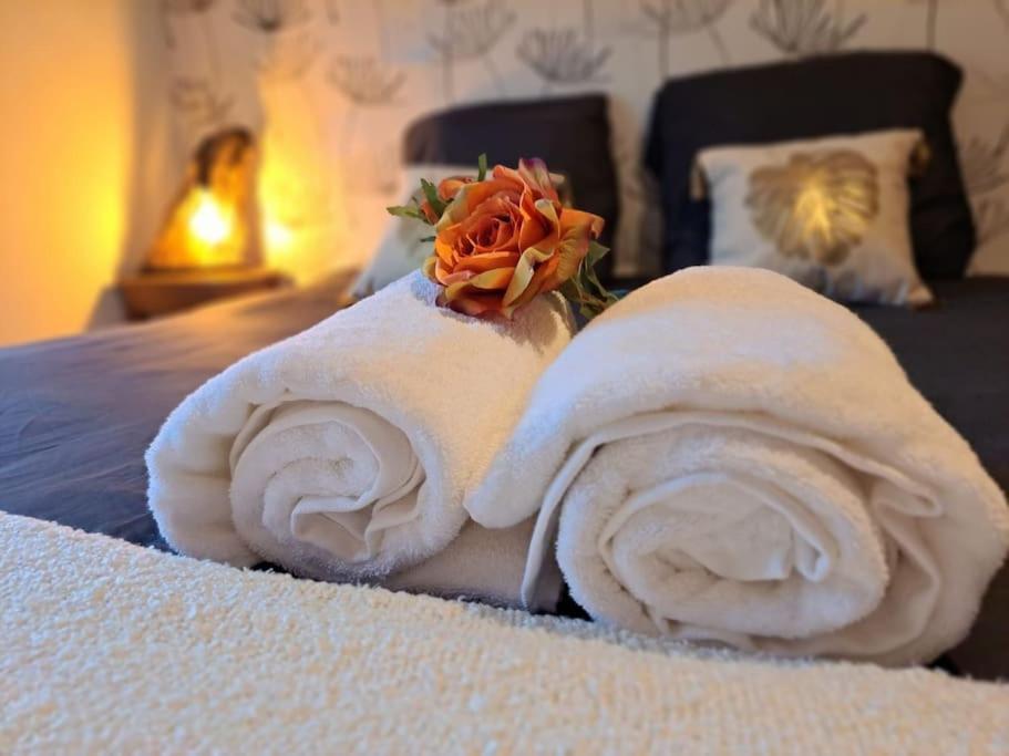 Gite Spa "La Foret Argentee" Proche Gerardmer Laveline-du-Houx Екстериор снимка