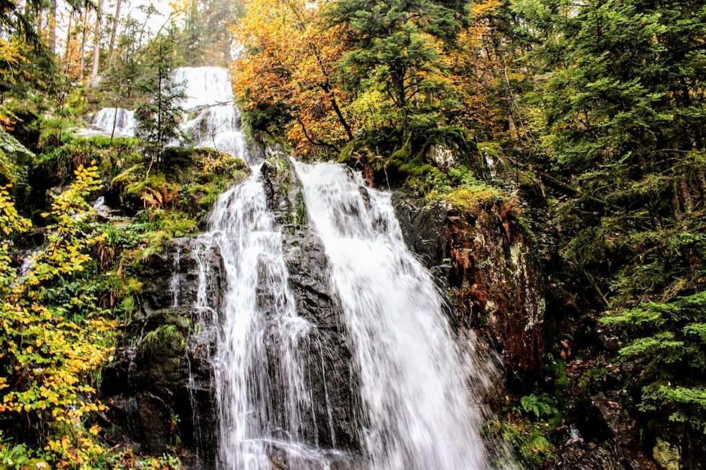 Gite Spa "La Foret Argentee" Proche Gerardmer Laveline-du-Houx Екстериор снимка
